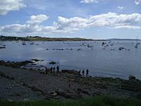 Schull Harbour