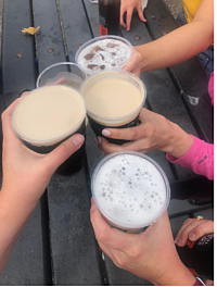 'Lady Charlotte's Loft' - ideal for short holidays or Remote Working Longer Lets.