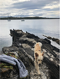 'Lady Charlotte's Loft' - ideal for short holidays or Remote Working Longer Lets.